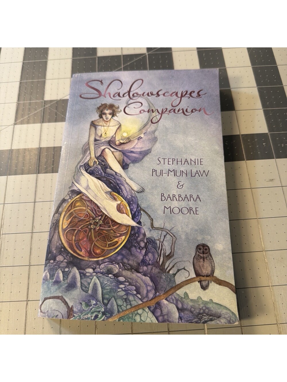 Shadowscapes Companion Stephanie Pui‑Mun Law & Barbara Moore